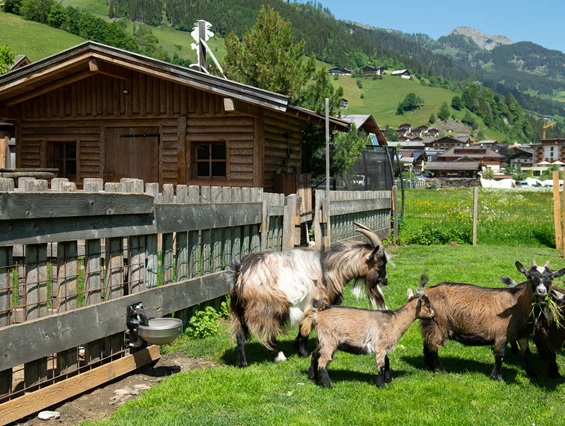 Wanderhotel: Familienhotel Auhof