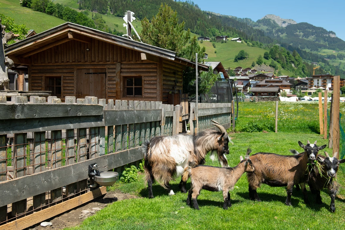 Wanderhotel: Familienhotel Auhof