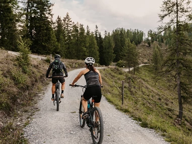 Wanderhotel: Familienhotel Auhof