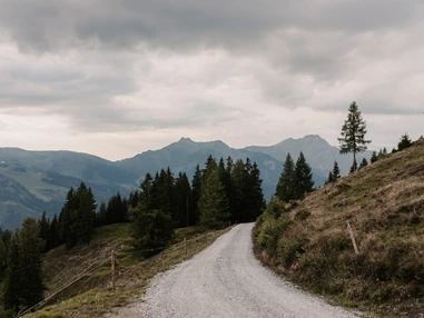 Wanderhotel: Familienhotel Auhof