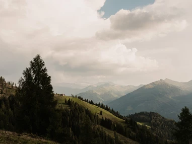 Wanderhotel: Familienhotel Auhof