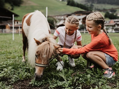 Wanderhotel: Familienhotel Auhof