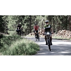 Wanderhotel: INNs HOLZ Chaletdorf im Sommer Radfahren Mountainbike - INNs HOLZ Chaletdorf
