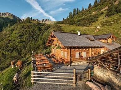 Sendlhofer's Almen Brandner Hochalm