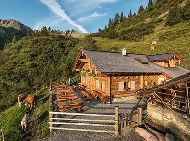 Sendlhofer's Almen Brandner Hochalm