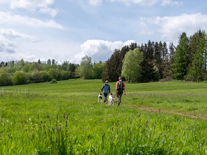 Wanderurlaub - Fahrstuhl - Der WOLFSHOF