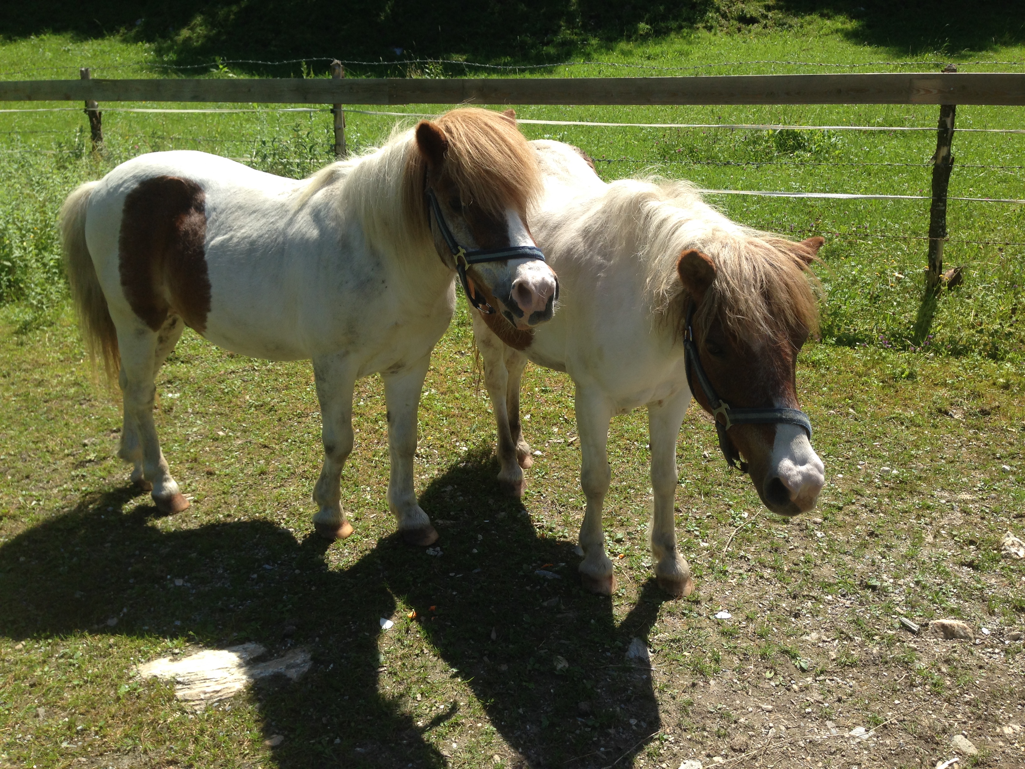 Wanderhotel: Hotel Guggenberger