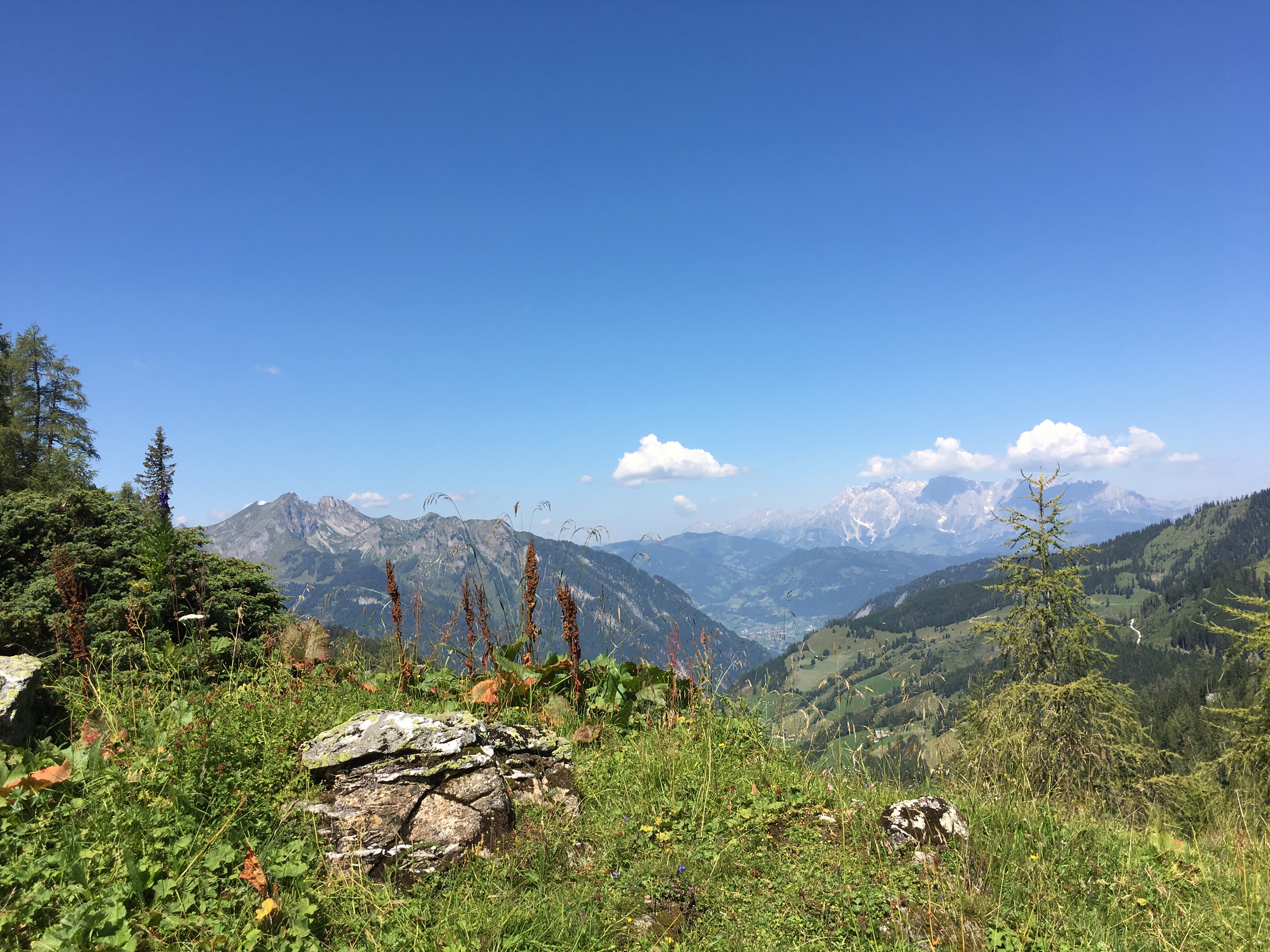 Wanderhotel: Der Ausblick hinunter ins Tal von der Großwildalm aus.  - Hotel Johanneshof Grossarl 