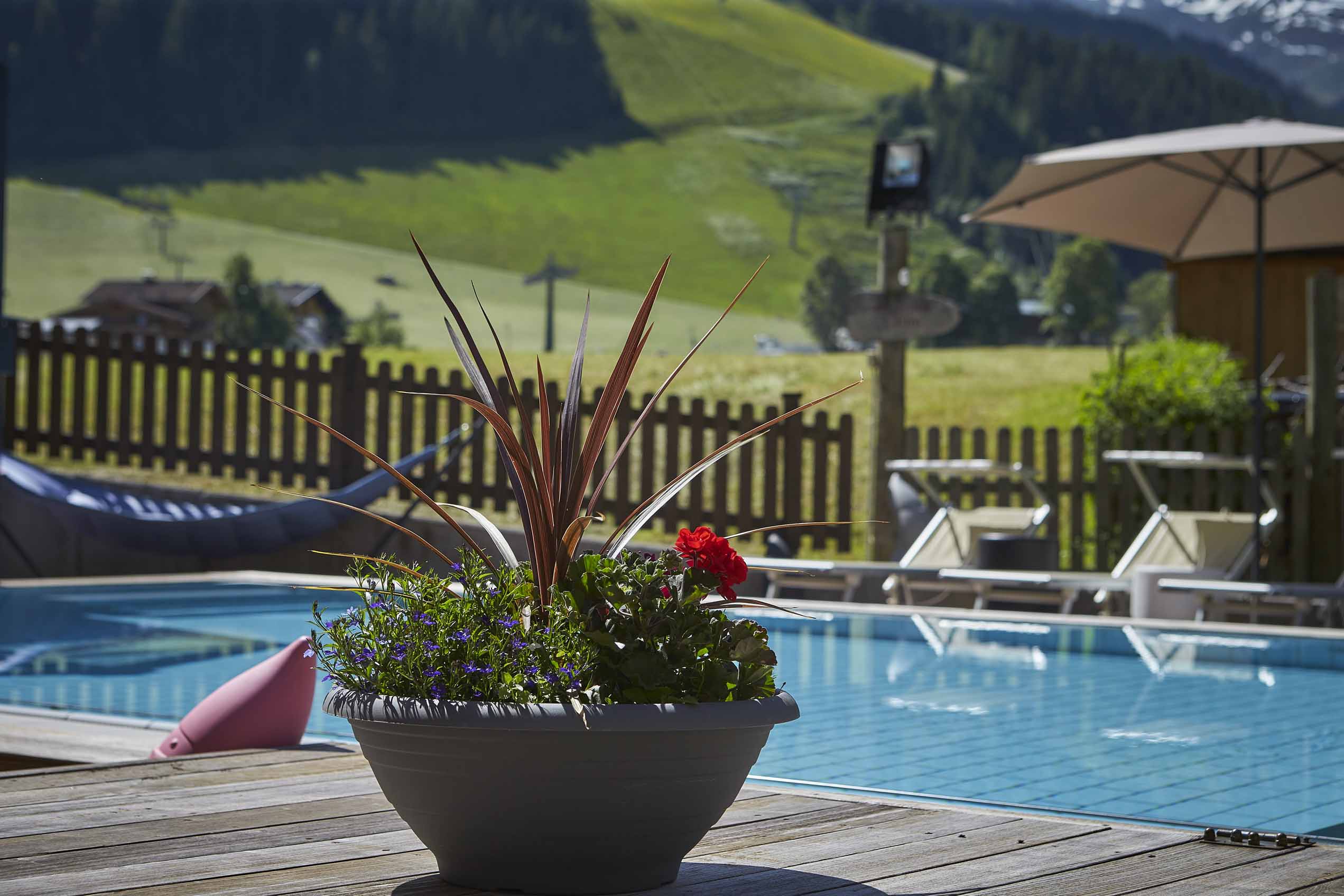 Wanderurlaub - Wanderschuhe: 2 Wanderschuhe - 4****Hotel Hasenauer