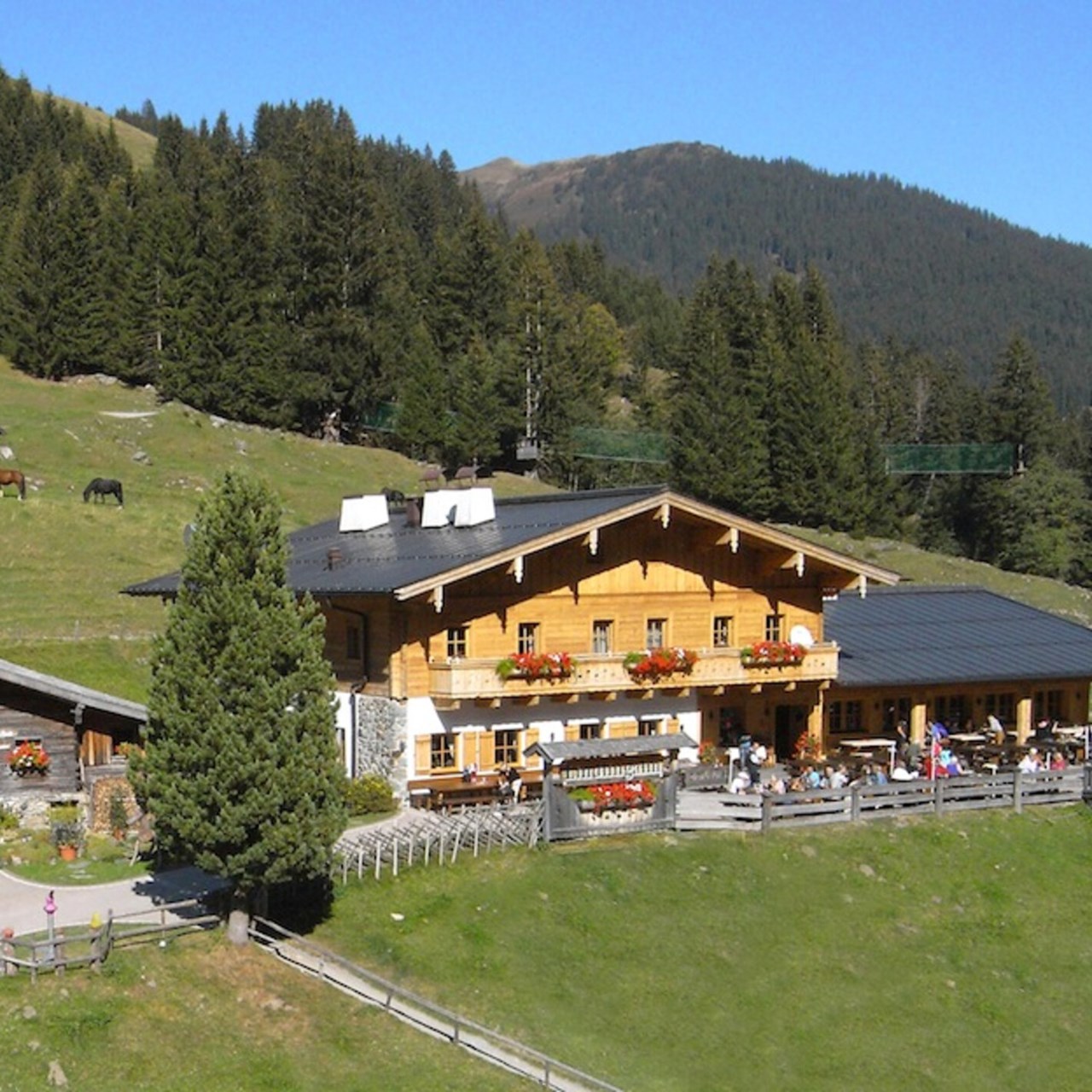 Der GOLLINGER Almen Lindlingalm