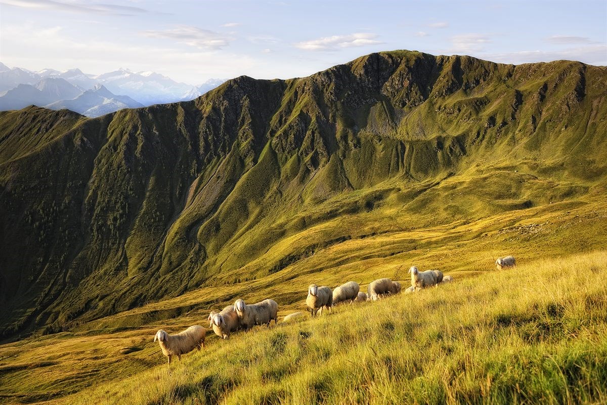 Der GOLLINGER Tourentipps Seven Summits