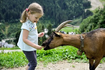 Wanderhotel: Streichelzoo mit Esel, Pony, Hasen, Meerschweinchen, Hühnern & Co. - Berghotel Jaga Alm 