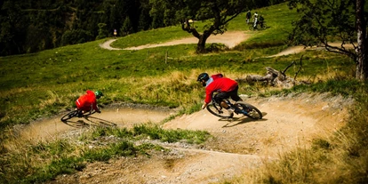 Wanderurlaub - Klassifizierung: 3 Sterne - www.seidl-alm.com - mountainlovers Berghotel*** SeidlAlm