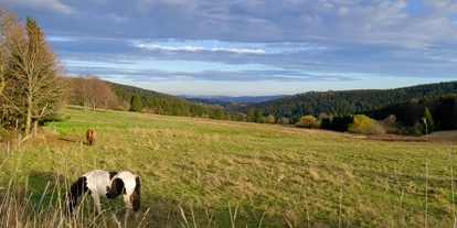 Wanderurlaub - Fahrstuhl - Ausblick - Hotel Kammweg am Rennsteig