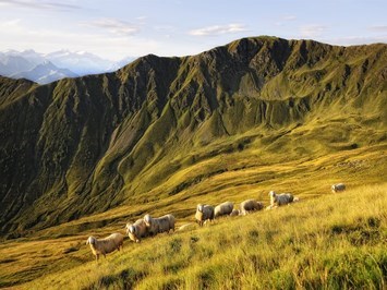 THOMSN Central Hotel & Appartements Tourentipps Seven Summits