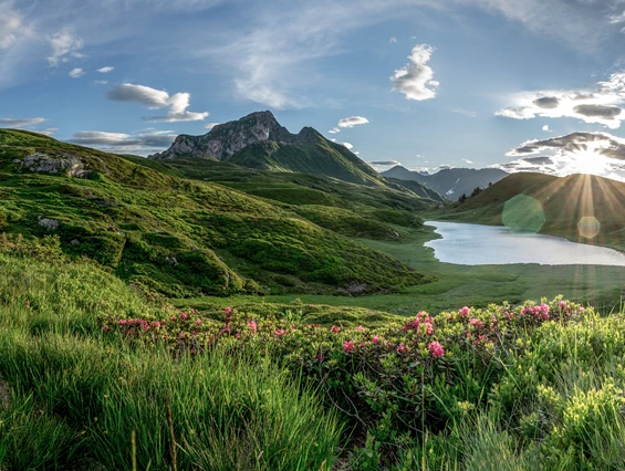 Wanderhotel: Zollnersee - der daberer . das biohotel - der daberer . das biohotel