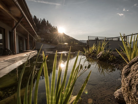 Wanderhotel: Sauna Teich - der daberer . das biohotel - der daberer . das biohotel