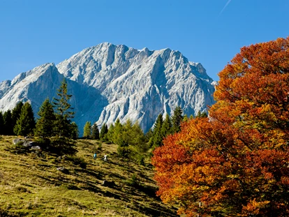 Wanderurlaub - Fahrstuhl - die HOCHKÖNIGIN - Mountain Resort