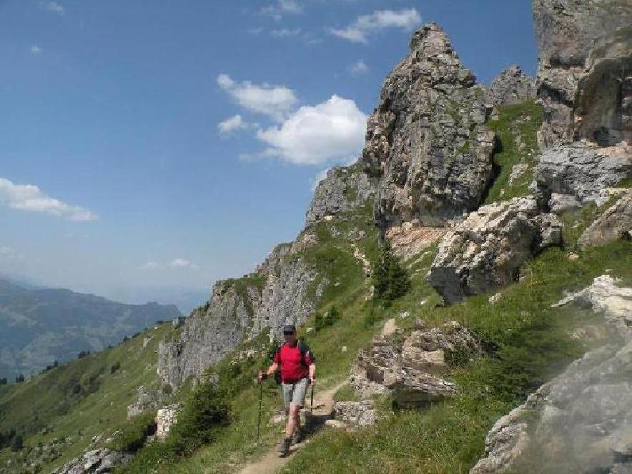 Naturhotel Huettenwirt Almen Hubgrundalm, 