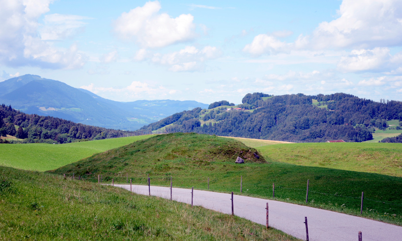 Wanderhotel: Grüne Umgebung vom Berggasthof Hotel Duftbräu. - Berggasthof Hotel Duftbräu