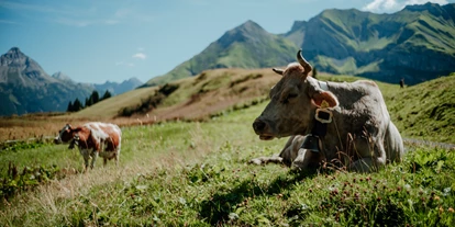 Wanderurlaub - Bach (Bach) - Wandern am Arlberg - Hotel Austria