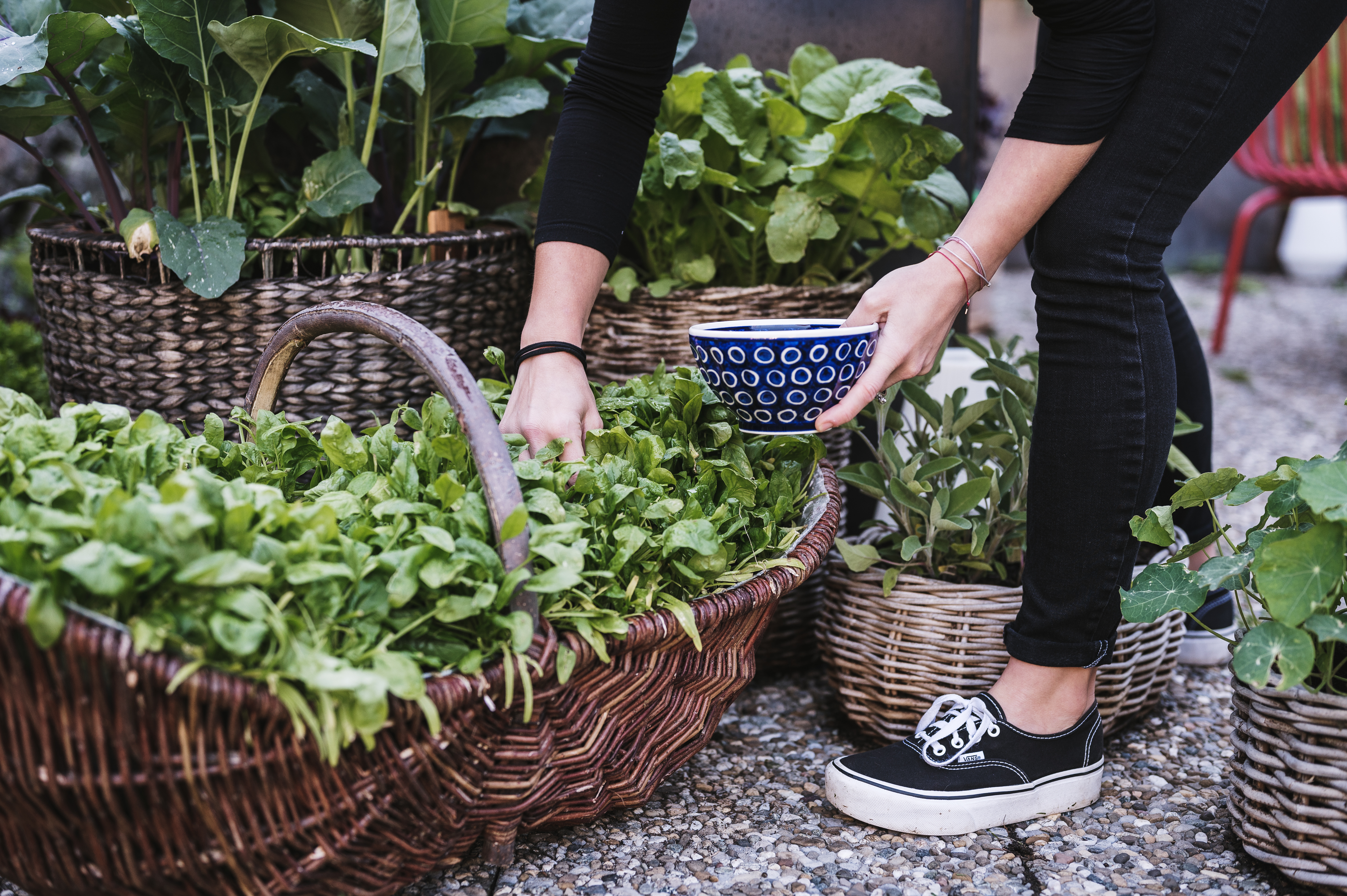 Wanderhotel: Alpenhotel Heimspitze