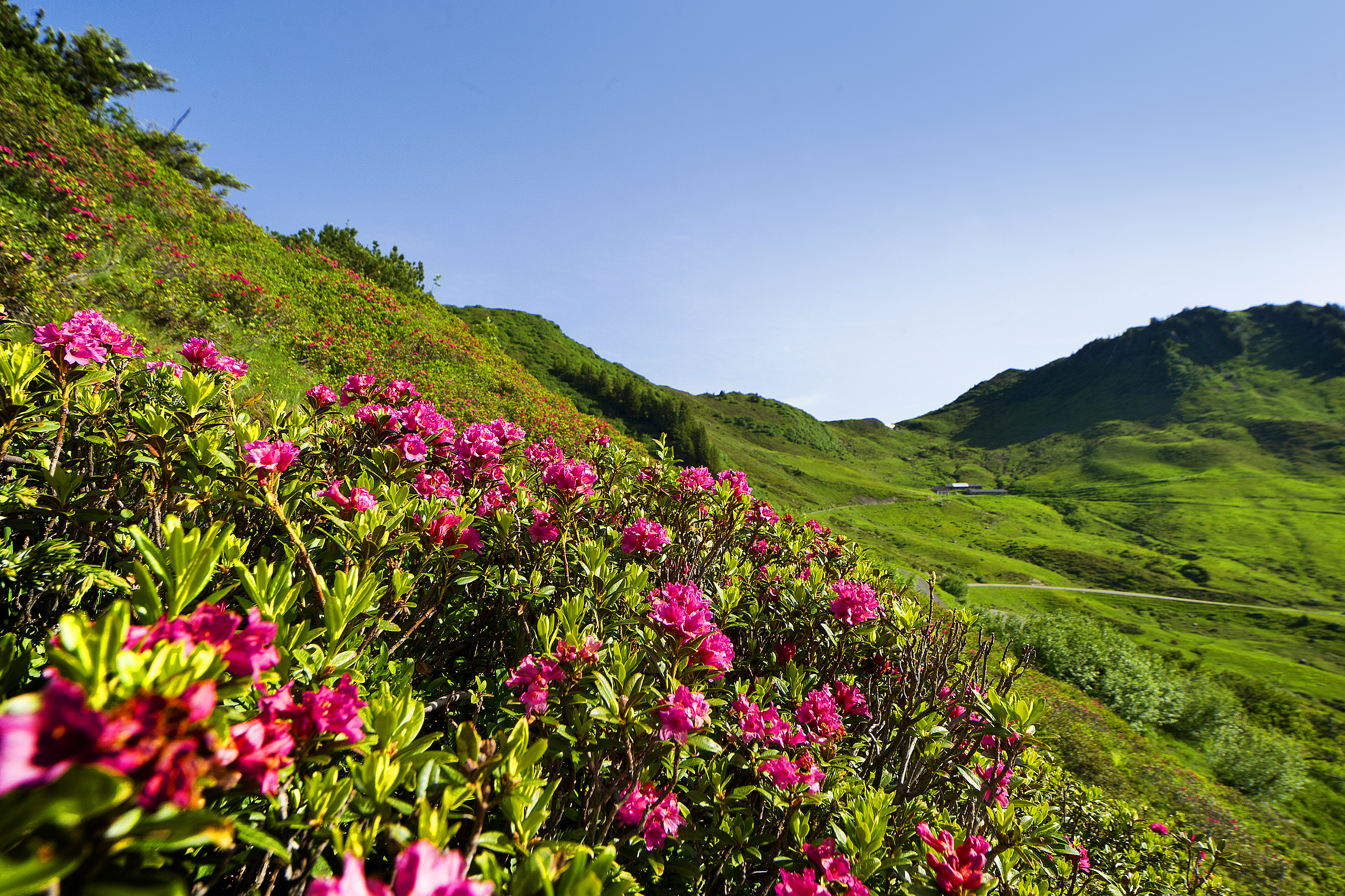 Wanderhotel: Hotel Garni Alpina