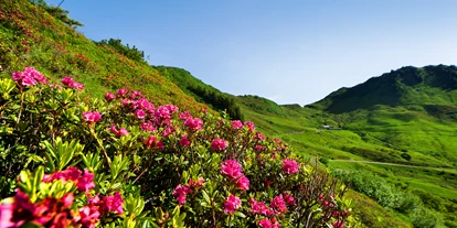 Wanderurlaub - Klassifizierung: 3 Sterne - Hotel Garni Alpina