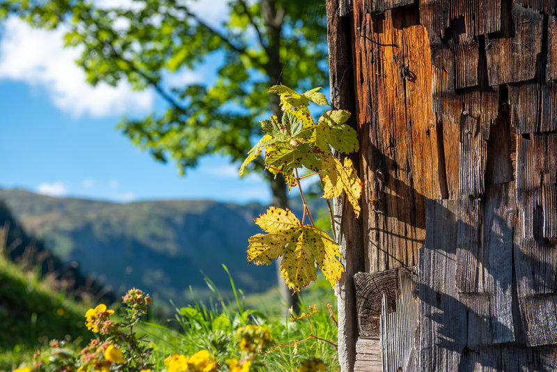 Wanderhotel: Hotel Garni Alpina