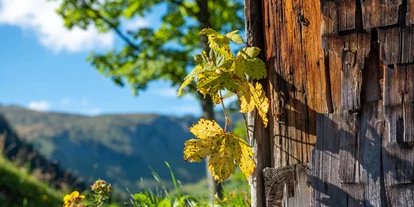 Wanderurlaub - Klassifizierung: 3 Sterne - Hotel Garni Alpina