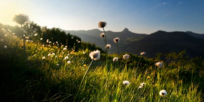Wanderurlaub - Klassifizierung: 3 Sterne - Hotel Garni Alpina
