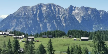 Wanderurlaub - Sonnenterrasse - Bad Aussee - Berggasthof Hollhaus