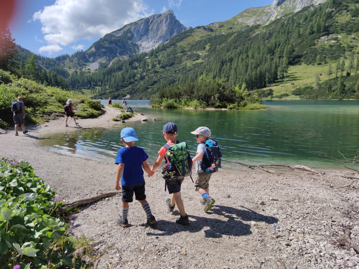 Wanderhotel: Berggasthof Hollhaus