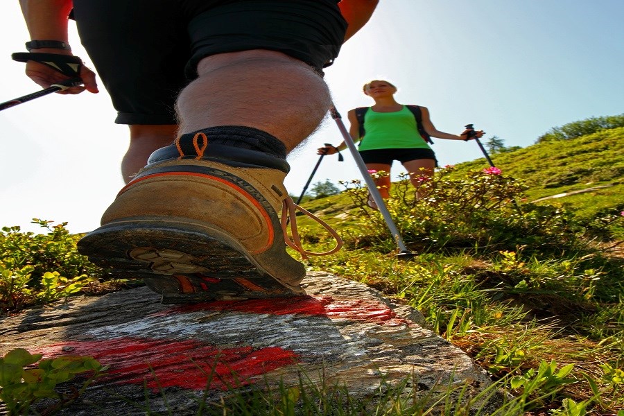 Hotel Schiederhof Tourentipps ETAPPEN DES SALZBURGER ALMENWEGES DURCH DAS GROSSARLTAL