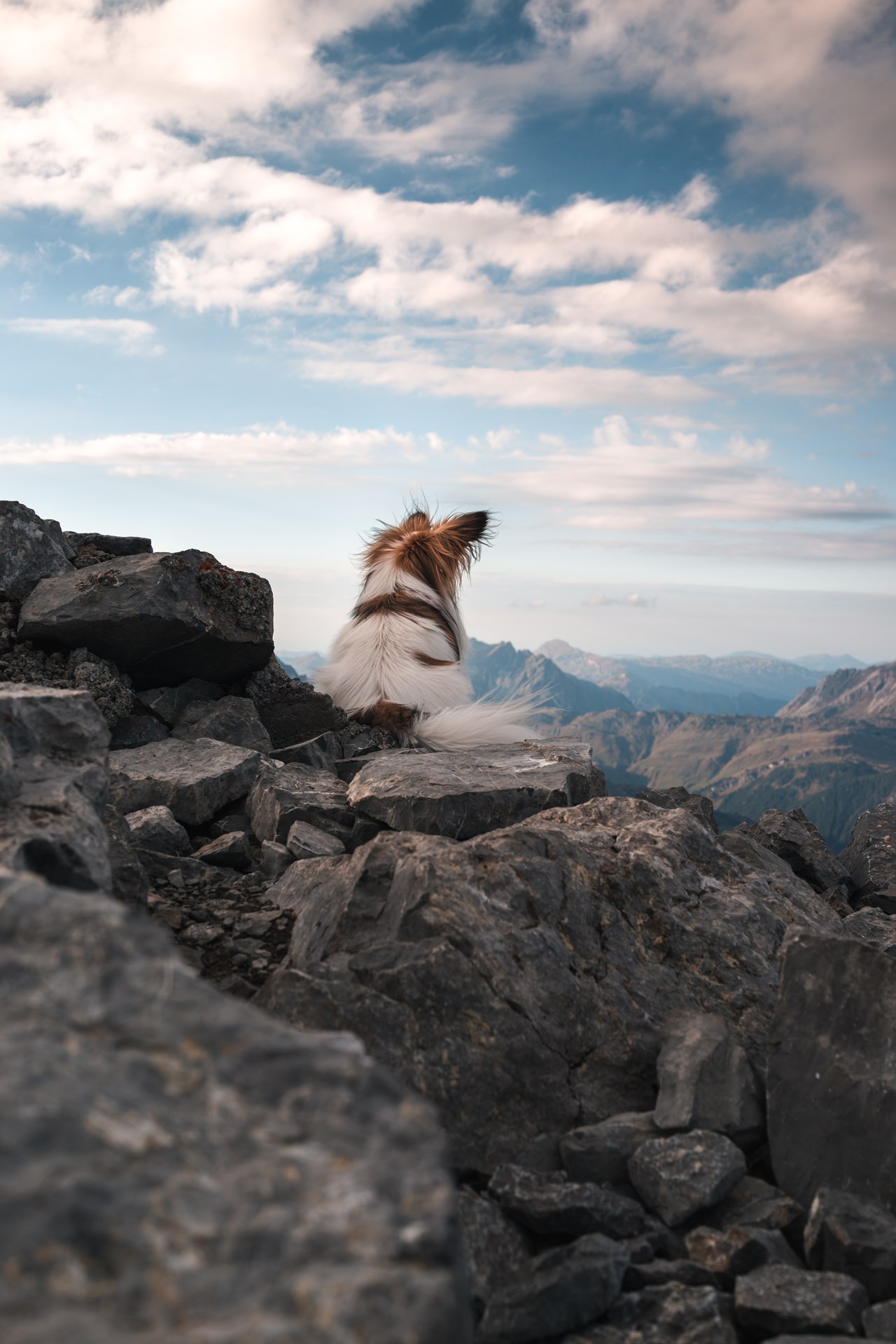 Hotel Lech Almen Älpele die Wanderhütte im Zugertal