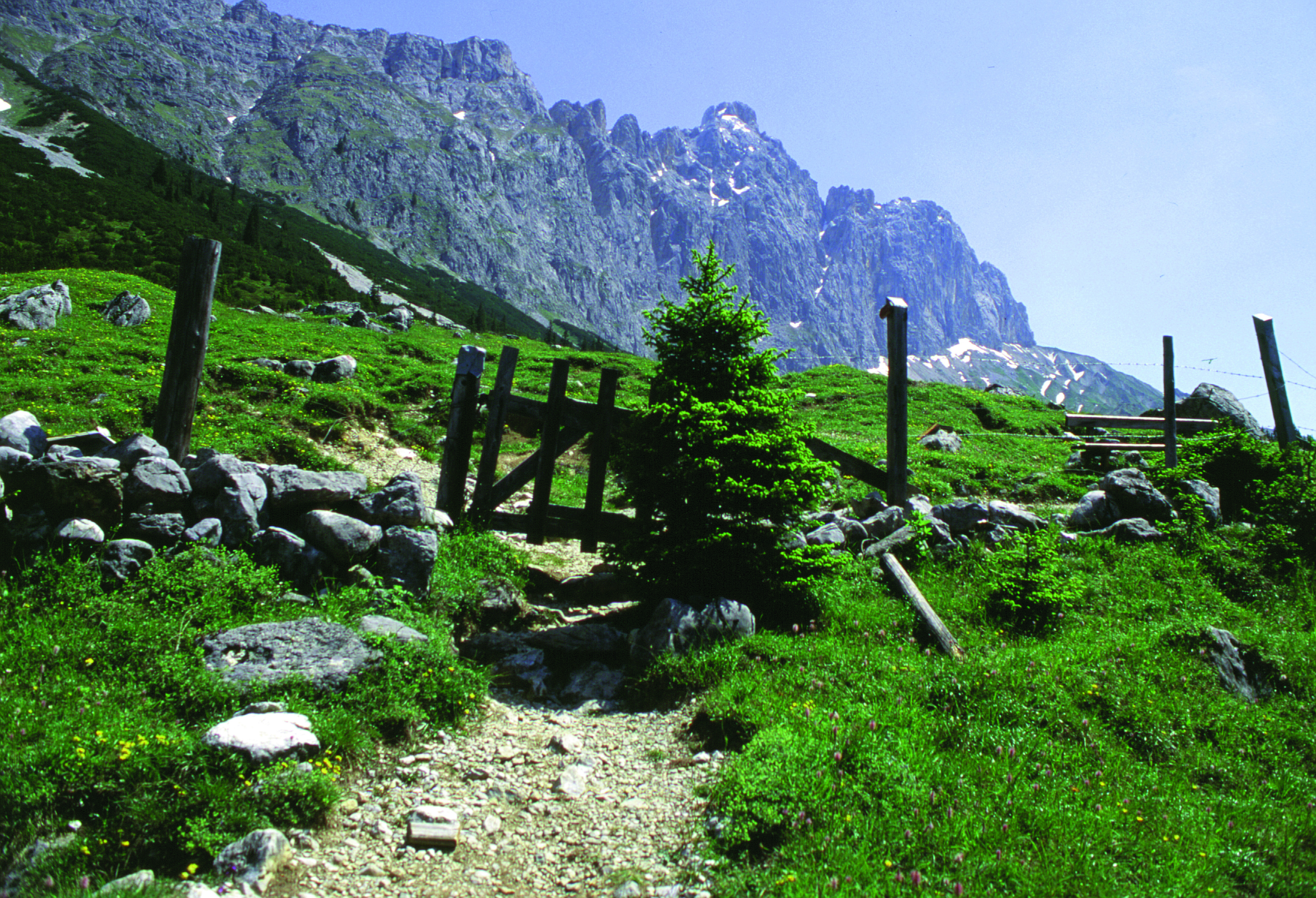 Hotel Diana Almen Wanderung zur Oberbrunnalm .... unser Geheimtipp
