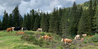 Wanderurlaub - Kötschach-Mauthen - Chalets und Apartments Hauserhof