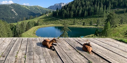 Wanderurlaub - Kötschach-Mauthen - Chalets und Apartments Hauserhof