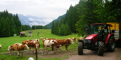 Wanderurlaub - Kötschach-Mauthen - Chalets und Apartments Hauserhof