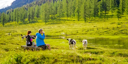 Wanderurlaub - Kötschach-Mauthen - Chalets und Apartments Hauserhof