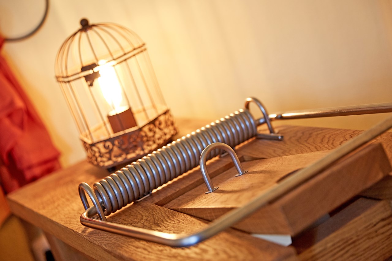 Hotel am Eifelsteig Zimmerkategorien Mäusezimmer