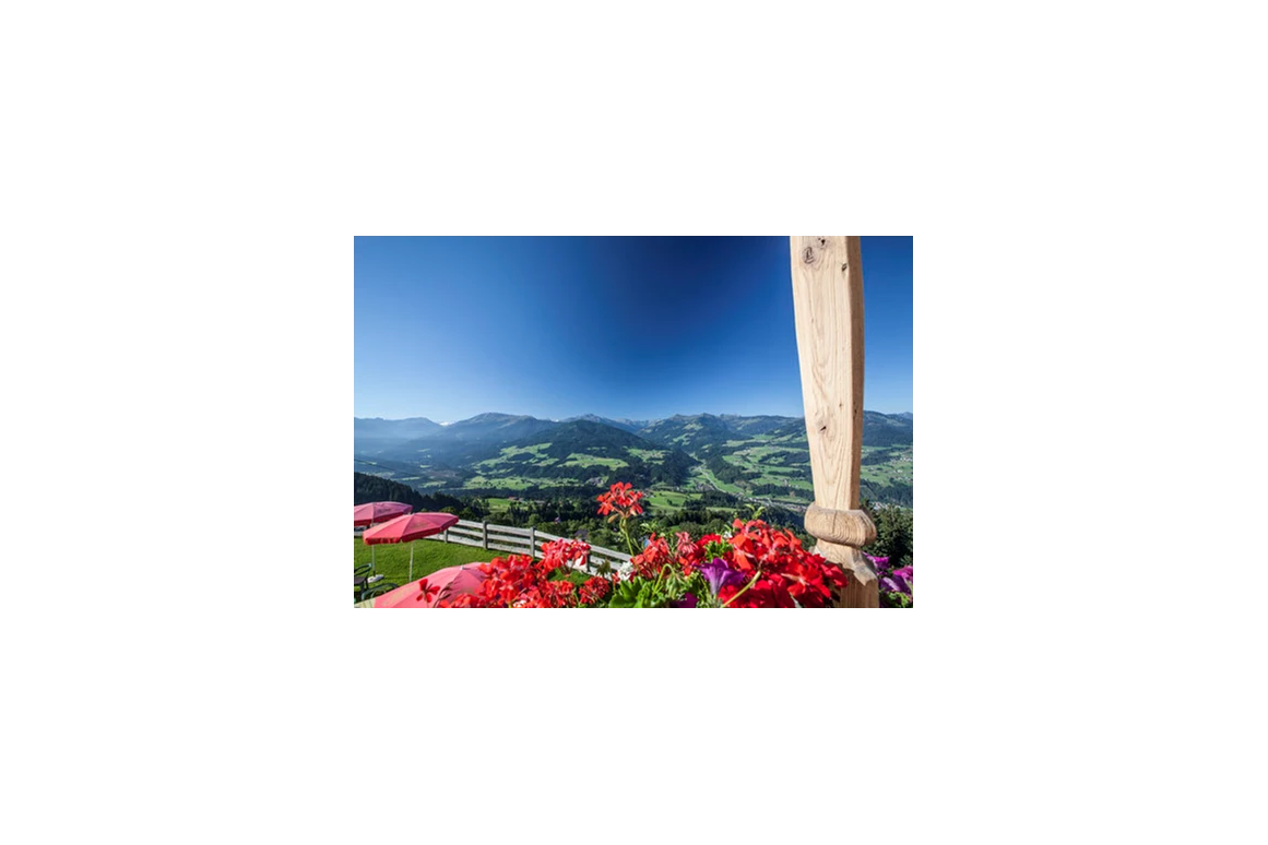 Wanderhotel: Ferienwohnung Tenn - Balkon mit Aussicht - Ferienwohnung Tenn