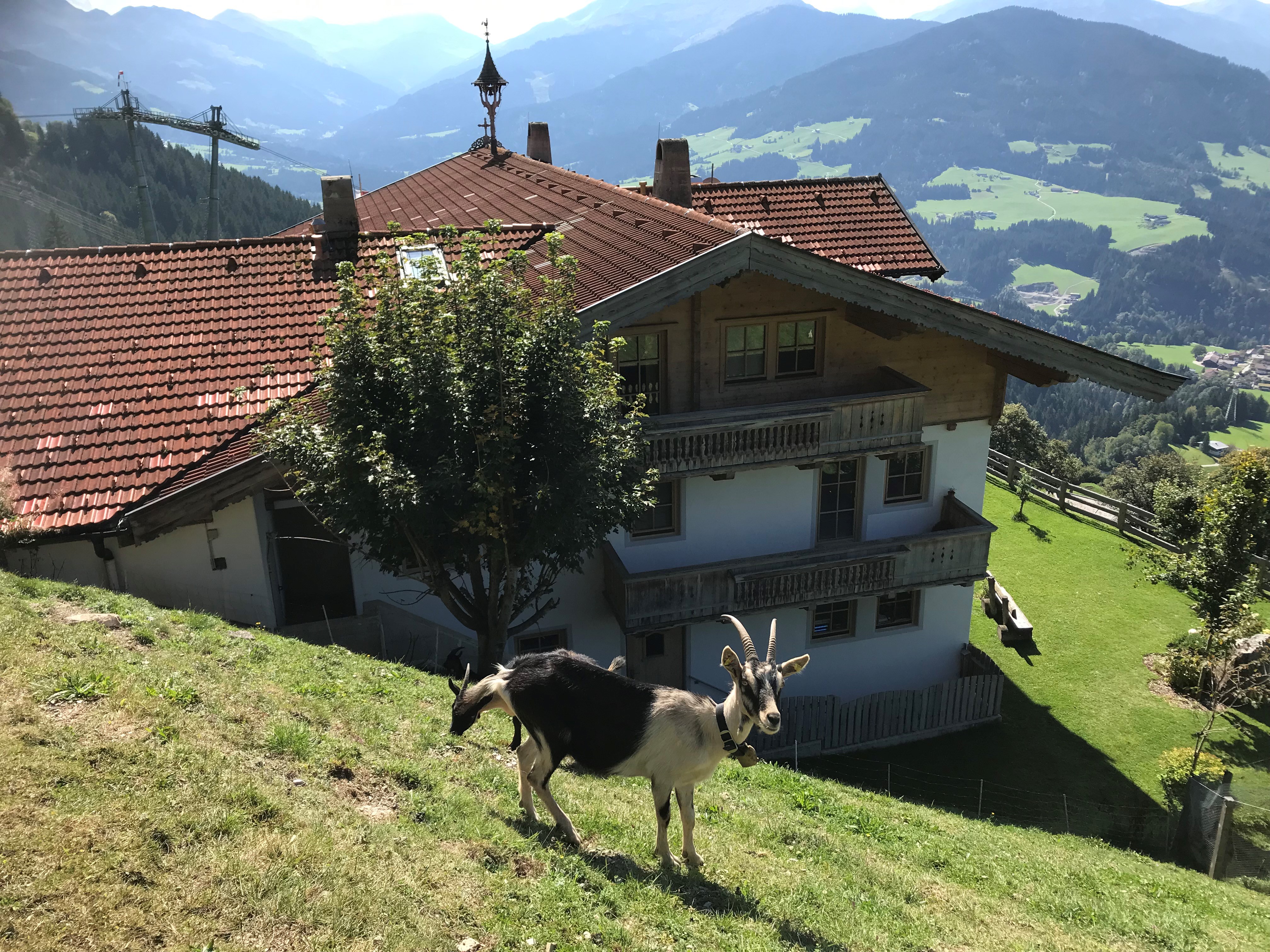 Wanderhotel: Ferienwohnung Tenn - Ihre "Nachbarschaft" - Ferienwohnung Tenn