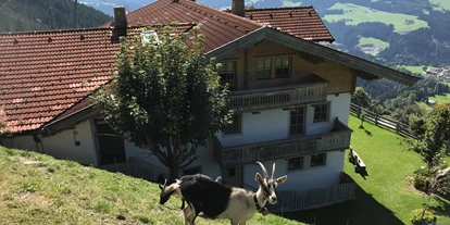 Wanderurlaub - Hotel-Schwerpunkt: Wandern & Biken - Tirol - Ferienwohnung Tenn - Ihre "Nachbarschaft" - Ferienwohnung Tenn