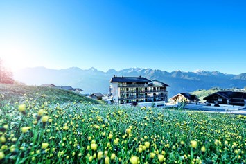 Wanderhotel: Alps Lodge