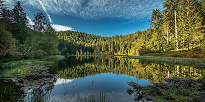 Wanderurlaub - Pools: Schwimmteich - Natur, soweit das Auge reicht - Hotel Konradshof