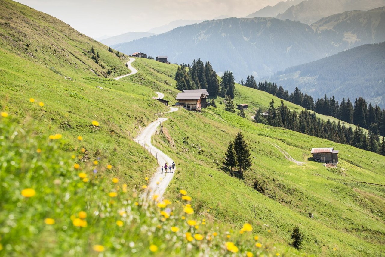 Hotel Gaspingerhof ****Superior Tourentipps Arena Panoramatour