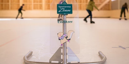 Wanderurlaub - Sonnenterrasse - Bad Aussee - Eislaufen in der Freizeithalle Zloam - Narzissendorf Zloam