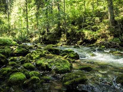 Wanderurlaub - Bach (Bach) - ©Oliver Farys - Hotel Gemma
