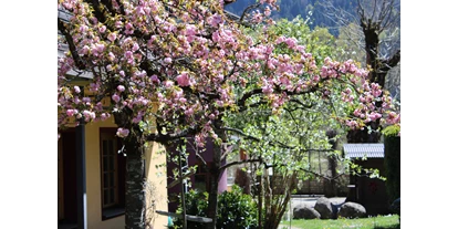 Wanderurlaub - Klassifizierung: 3 Sterne - Tirol - Garten - Die Lilie - Hotel Garni